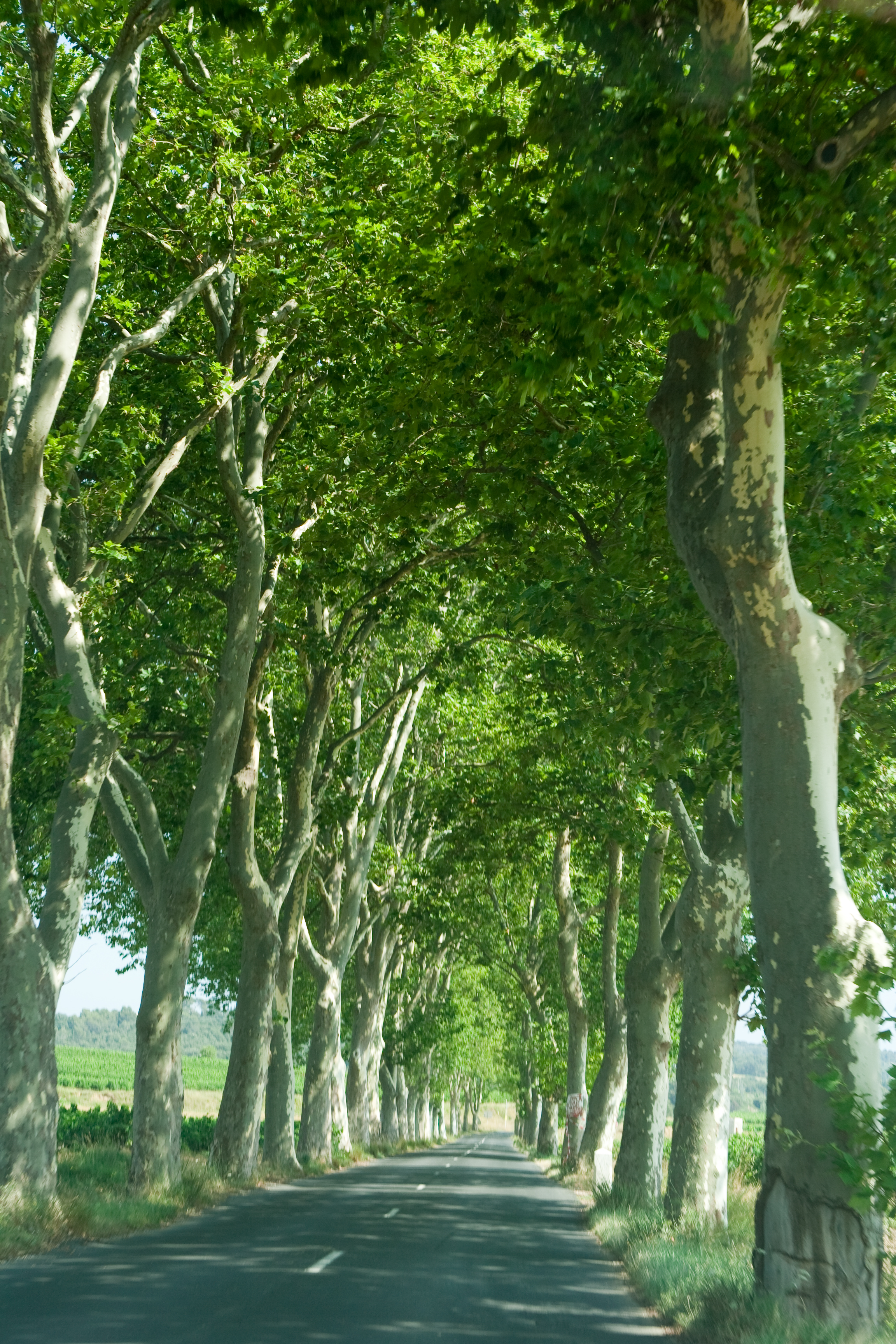 vakantie 2009 ontdekkingsreis-034.jpg